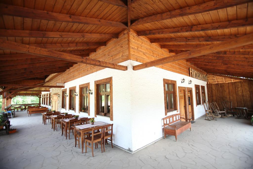 Siedlisko Brzeziniak Hotel Cisna Exterior photo